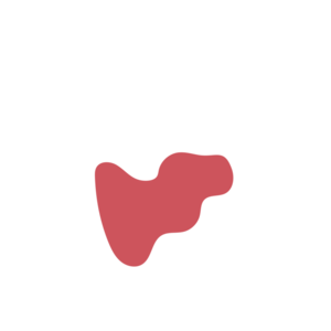 004656d1-placeholder-1770007529