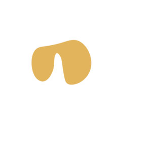 35127a31-placeholder-1770051880