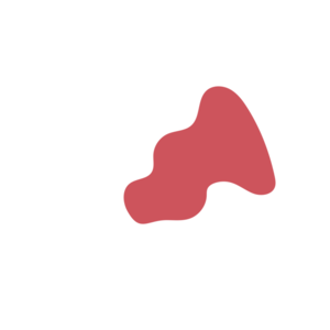 1da5dab5-placeholder-1770053036