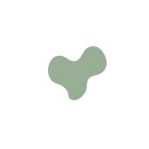 Eb7f2693-placeholder-1770050272