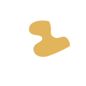 801c9d1e-placeholder-1770027159