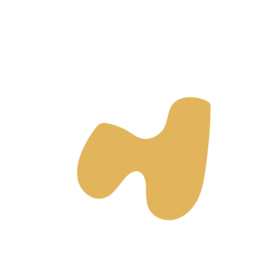 3e1f0c94-placeholder-1770010087