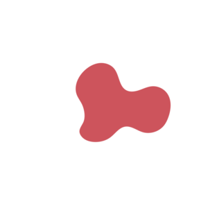 25ef1a44-placeholder-1770053402