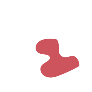 9bbb86f3-placeholder-1770056337