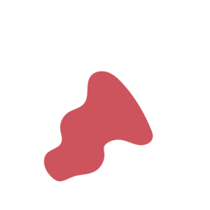 6b27cbe5-placeholder-1769452193