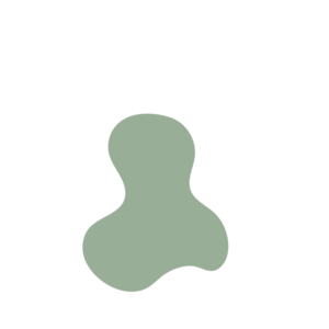 73b58e71-placeholder-1770022690