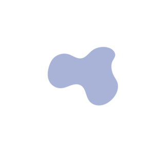 Dcc190ae-placeholder-1769405144