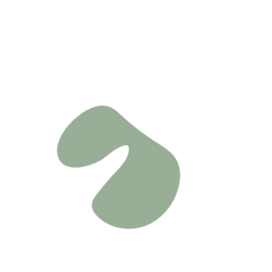 456c783a-placeholder-1770031151