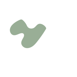 44fd1fbf-placeholder-1770050269