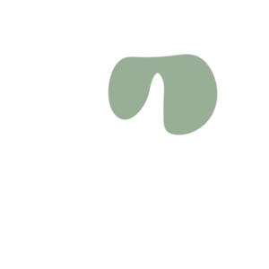 3f003d2d-placeholder-1770053788