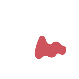 5a2730e8-placeholder-1770027149