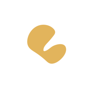 A1d75f1d-placeholder-1770031127