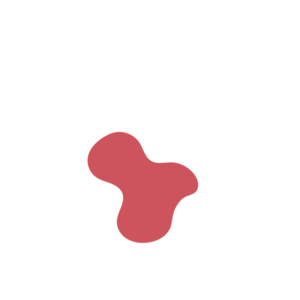 D65f5844-placeholder-1770023203