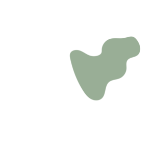 7381df1a-placeholder-1770017932