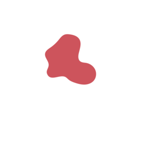 1004293b-placeholder-1770055573