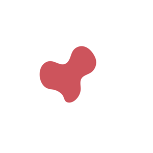 658e4aa6-placeholder-1770020880