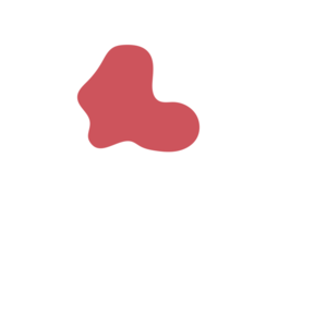 B2ee5c12-placeholder-1770040444