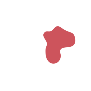 950147db-placeholder-1770016550