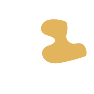 7d17dafa-placeholder-1770032185