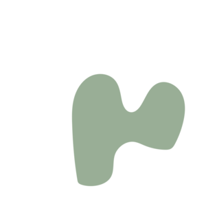 53a33676-placeholder-1770143956