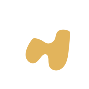 F91ceb5a-placeholder-1769016397