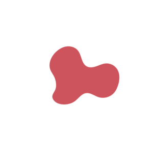 D1b5a4b7-placeholder-1770008806