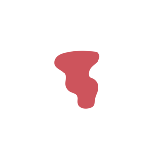 3e9a99ee-placeholder-1770021072