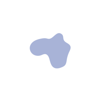 53d3426b-placeholder-1770032856