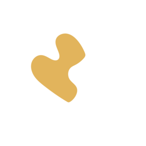 3fa2e6f1-placeholder-1770009349