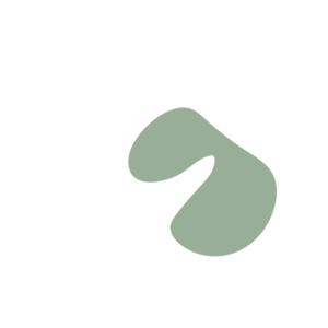 D2352ada-placeholder-1770018268