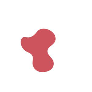 Eaeadccc-placeholder-1769584103