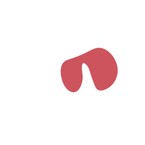 97c5b891-placeholder-1770017651