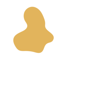 2f934d02-placeholder-1770024825