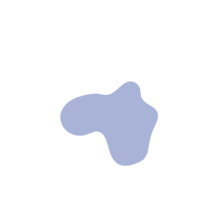 0fe99f26-placeholder-1769998333