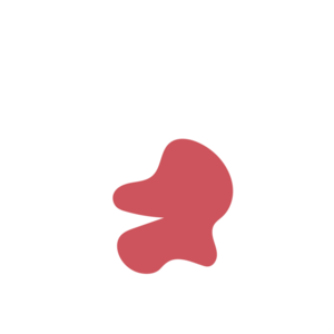 A481cc06-placeholder-1770093146