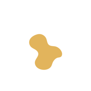 Eb2cd22e-placeholder-1770031588