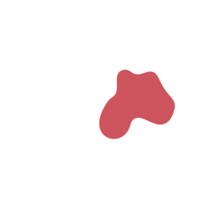 Ff7719b4-placeholder-1770018602