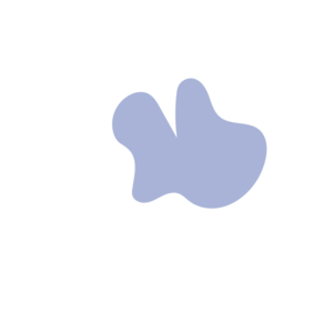 7efb4332-placeholder-1770009508