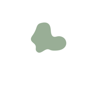 1b2dc5c8-placeholder-1770013645