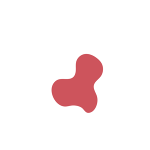 11720b61-placeholder-1769425124