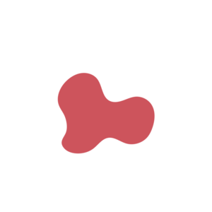 Ac4694ac-placeholder-1770032480