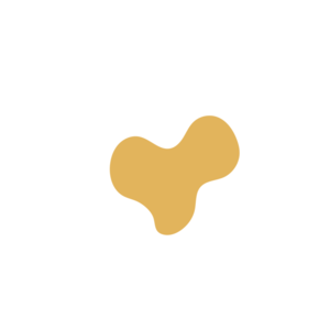 8e209a8b-placeholder-1770010210