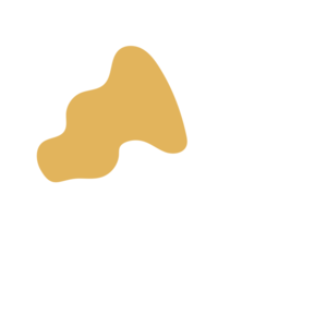 Bc04fe92-placeholder-1770025731