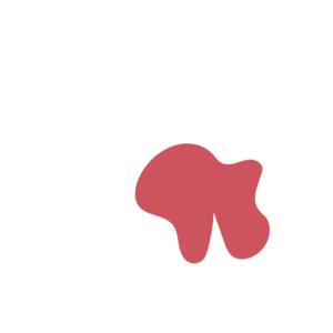 21ab18a3-placeholder-1770015424