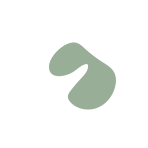 024afe74-placeholder-1770010731