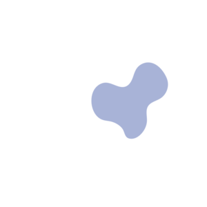 C042b4b2-placeholder-1770019962