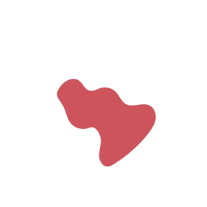 07ed82d9-placeholder-1770007018