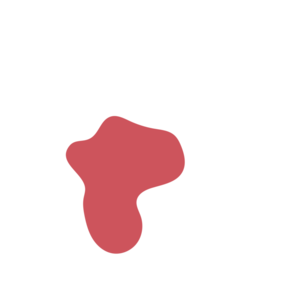 0f2c243e-placeholder-1770016539