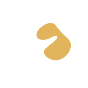 E6024513-placeholder-1770036638