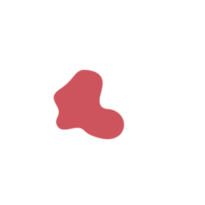 64cbf037-placeholder-1770017385